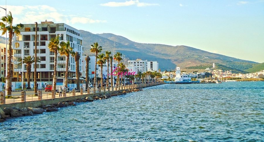 Business Plan à Nador